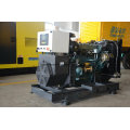 Moteur Yangdong Excellentes performances Génération 40kVA 32kw ​​Générateurs Diesel